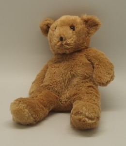 Huggable Teddy Bear Urns