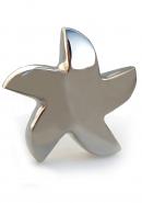Bright Silver Star Mini Funeral Urn for Human Ashes	