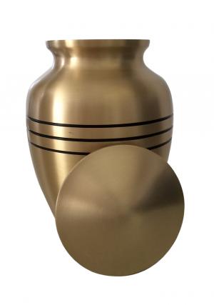medium ashes uk