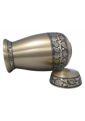 Adult brass urns