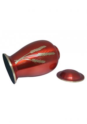Adult brass urns
