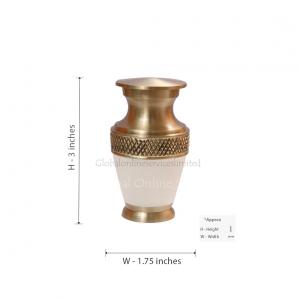  cremation ashes uk